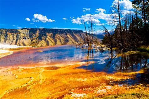 Yellowstone